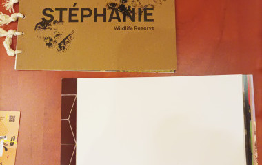 Lola Kosár, Štefánia, ilustrácie