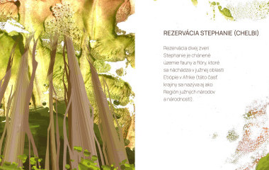 Lola Kosár, Štefánia, ilustrácie