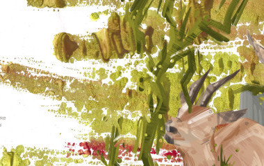 Lola Kosár, Štefánia, ilustrácie