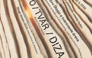 DREVO / TVAR / DIZAJN - Výstava odboru Dizajn a tvarovanie dreva